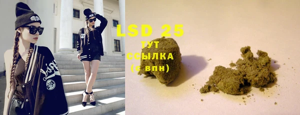 PSILOCYBIN Богородицк