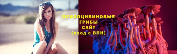 таблы Богданович