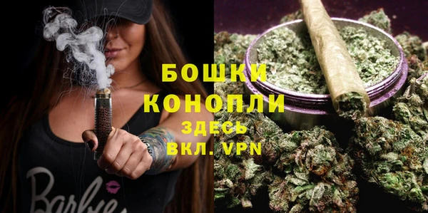 таблы Богданович