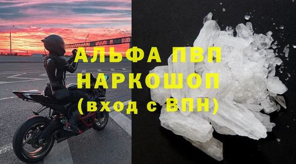 PSILOCYBIN Богородицк