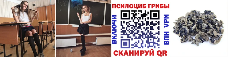 Галлюциногенные грибы мухоморы  mega tor  Серафимович  закладки 